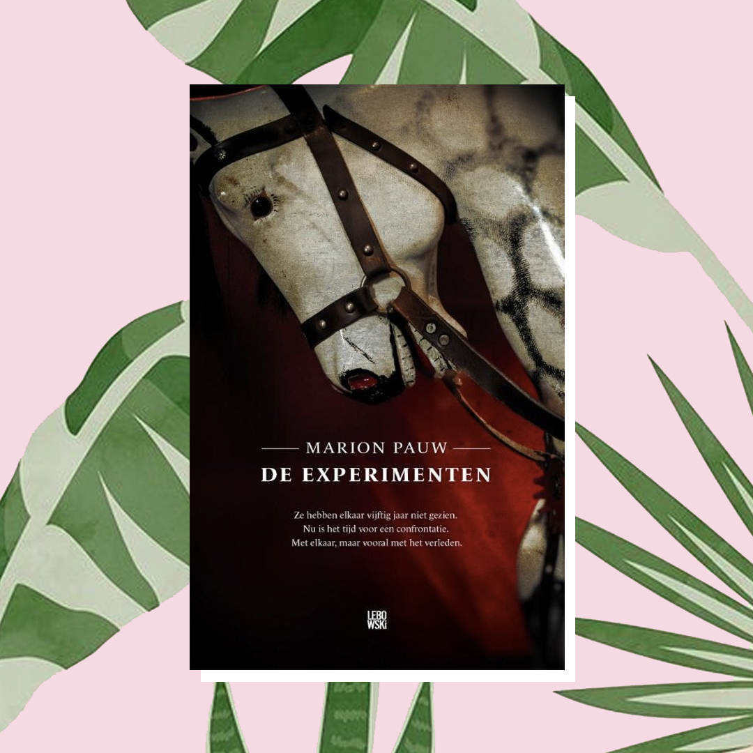 Vakantieboek: Marion Pauw - De experimenten