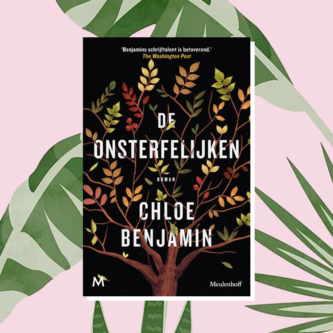 Vakantieboek: Chloe Benjamin - De onsterfelijken